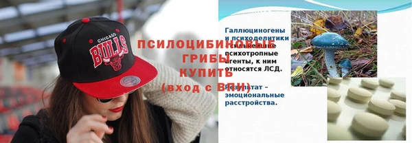 метадон Вяземский