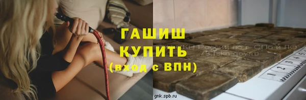 прущие грибы Волоколамск