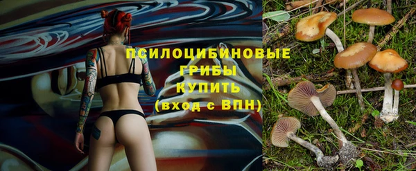 MESCALINE Вязьма