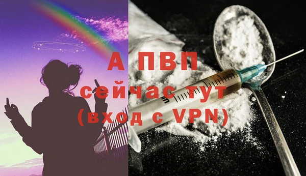 крисы Вязники