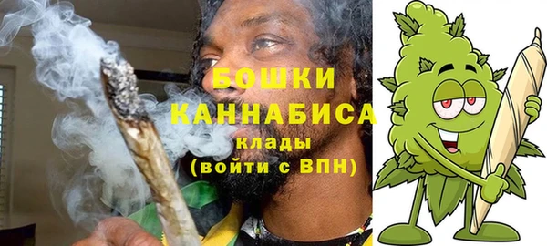 метадон Вяземский