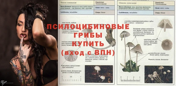 метадон Вяземский