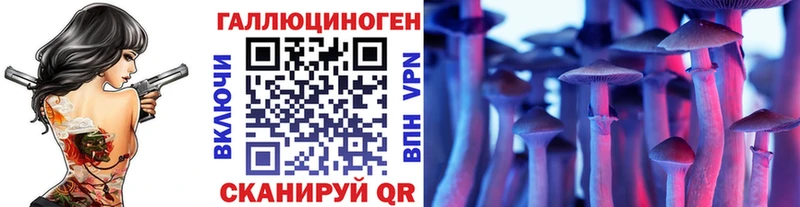 Псилоцибиновые грибы GOLDEN TEACHER  купить наркотик  Злынка 